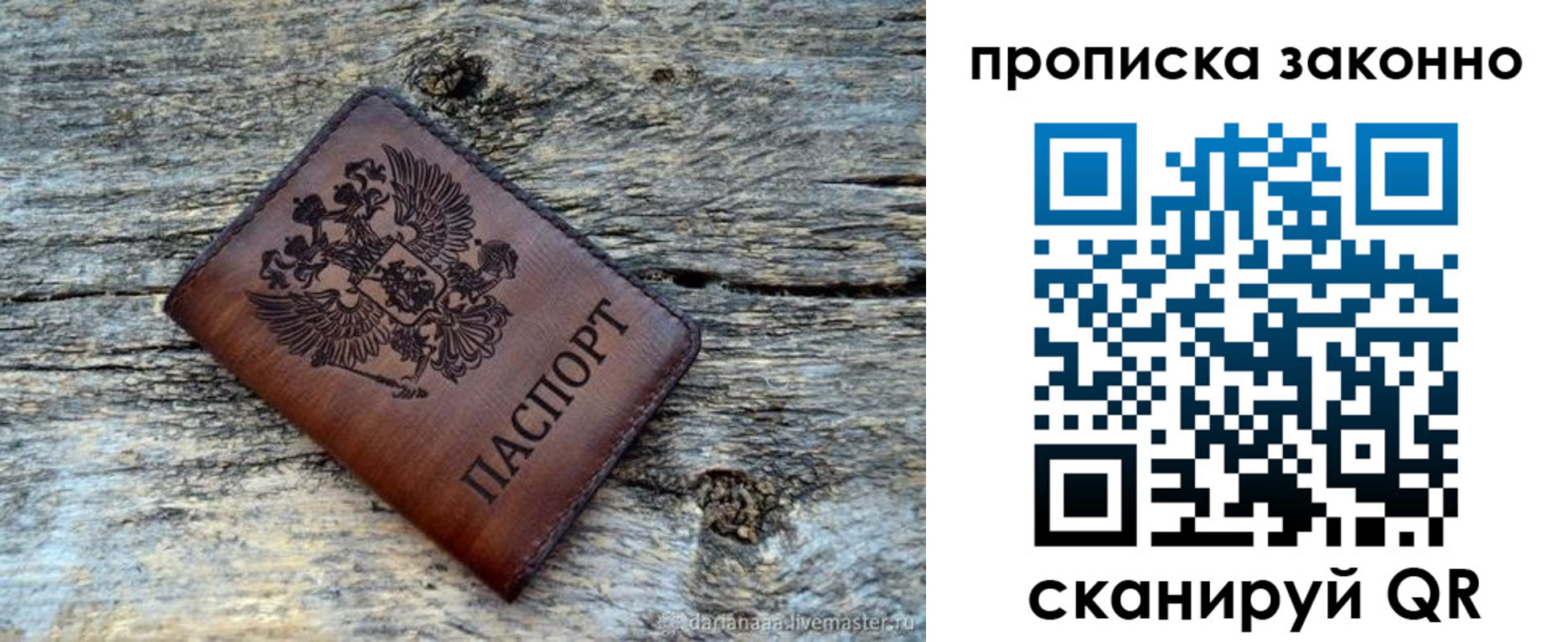 прописка для школы в Луге